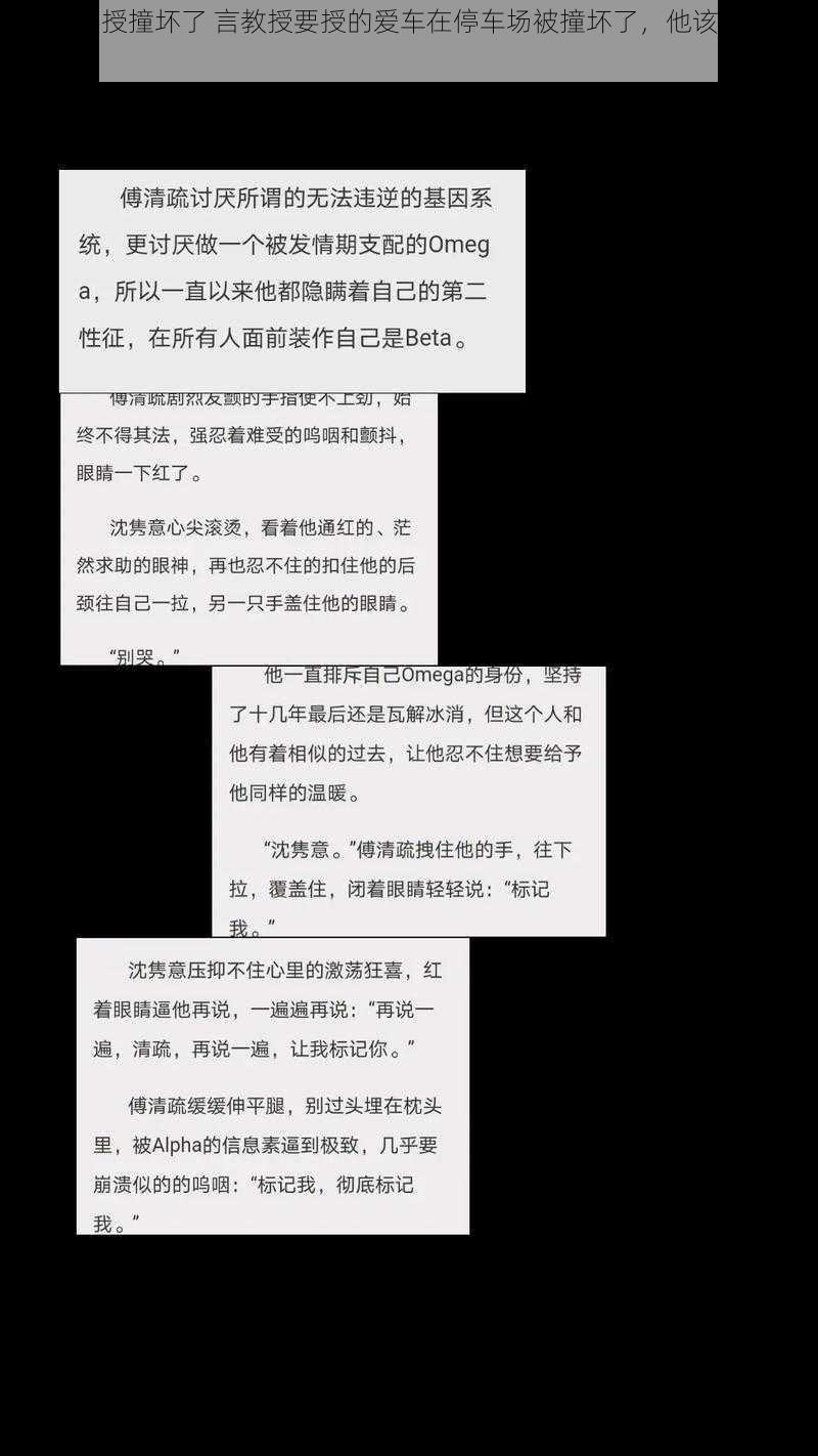 言教授要授撞坏了 言教授要授的爱车在停车场被撞坏了，他该如何是好？