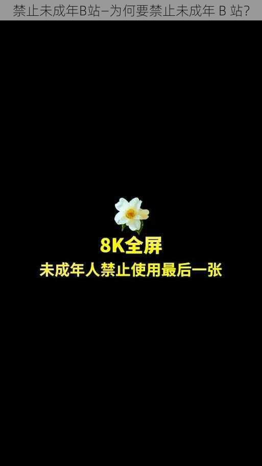 禁止未成年B站—为何要禁止未成年 B 站？