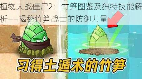 植物大战僵尸2：竹笋图鉴及独特技能解析——揭秘竹笋战士的防御力量