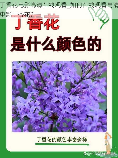 丁香花电影高清在线观看_如何在线观看高清电影丁香花？