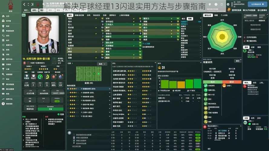 解决足球经理13闪退实用方法与步骤指南