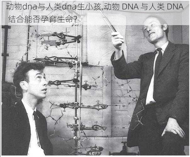 动物dna与人类dna生小孩,动物 DNA 与人类 DNA 结合能否孕育生命？