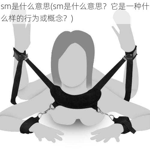 sm是什么意思(sm是什么意思？它是一种什么样的行为或概念？)