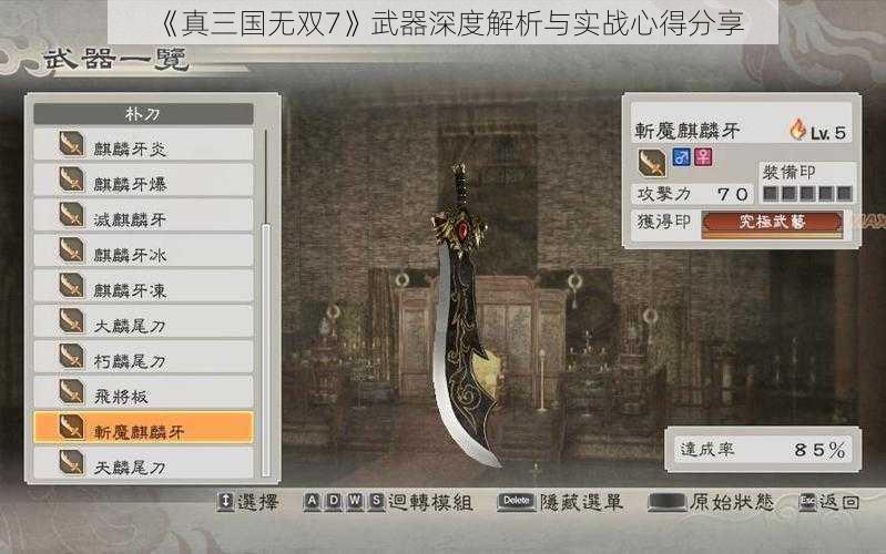 《真三国无双7》武器深度解析与实战心得分享