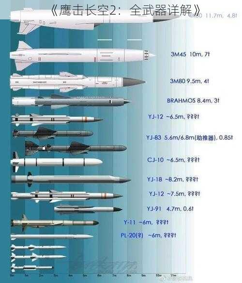 《鹰击长空2：全武器详解》