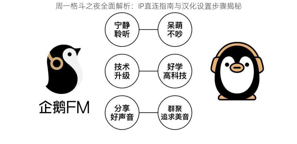 周一格斗之夜全面解析：IP直连指南与汉化设置步骤揭秘