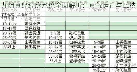 九阴真经经脉系统全面解析：真气运行与武技精髓详解