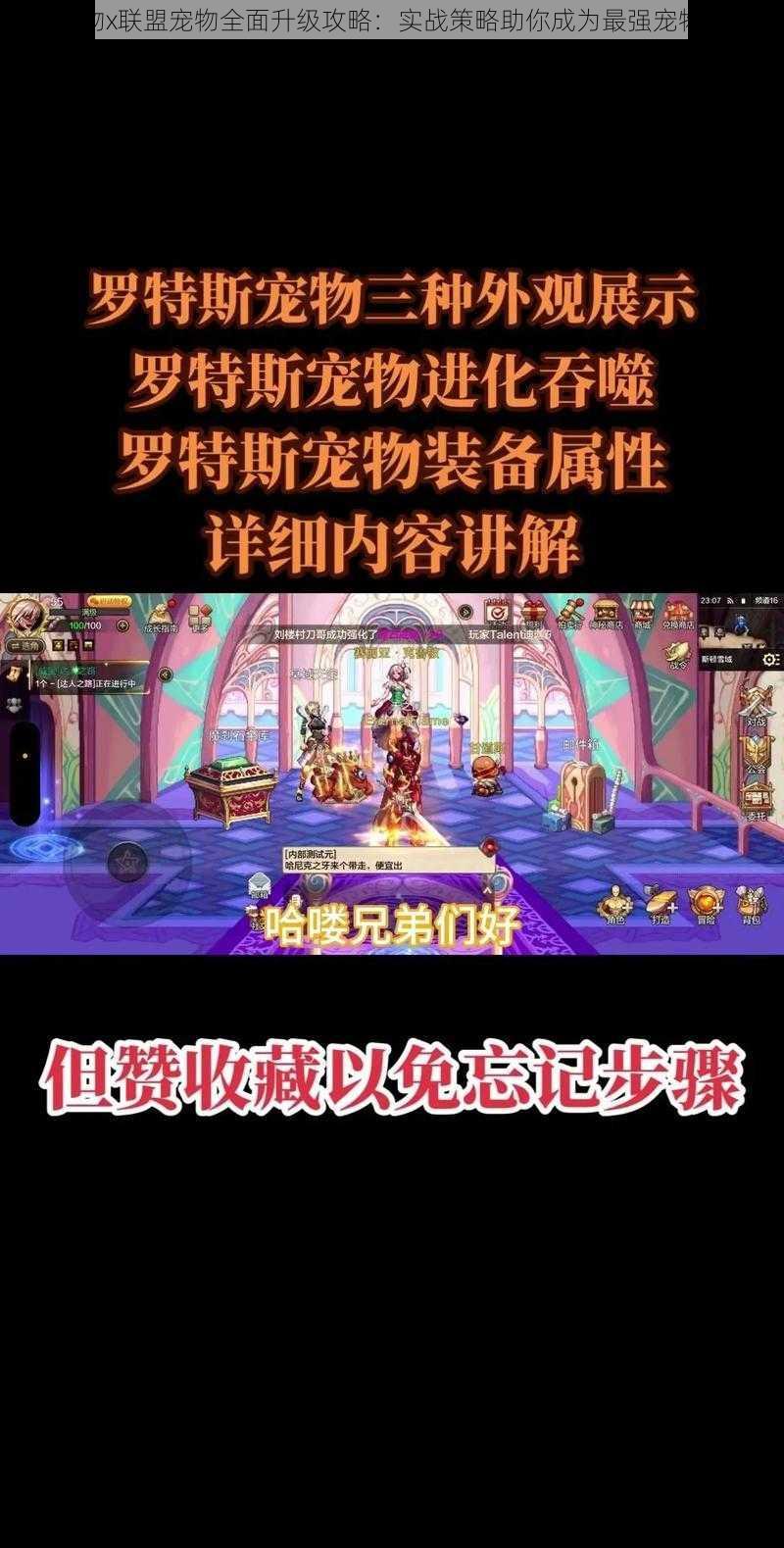 怪物x联盟宠物全面升级攻略：实战策略助你成为最强宠物主