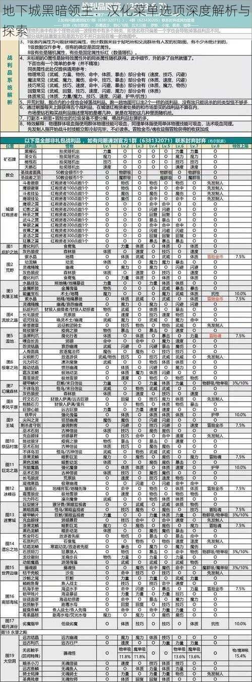 地下城黑暗领主：汉化菜单选项深度解析与探索