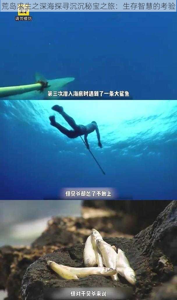 荒岛求生之深海探寻沉沉秘宝之旅：生存智慧的考验