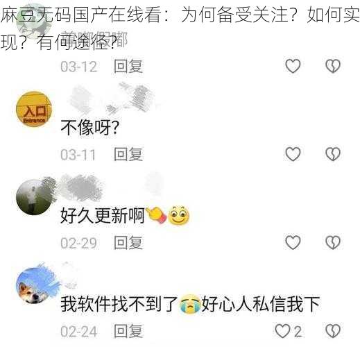 麻豆无码国产在线看：为何备受关注？如何实现？有何途径？