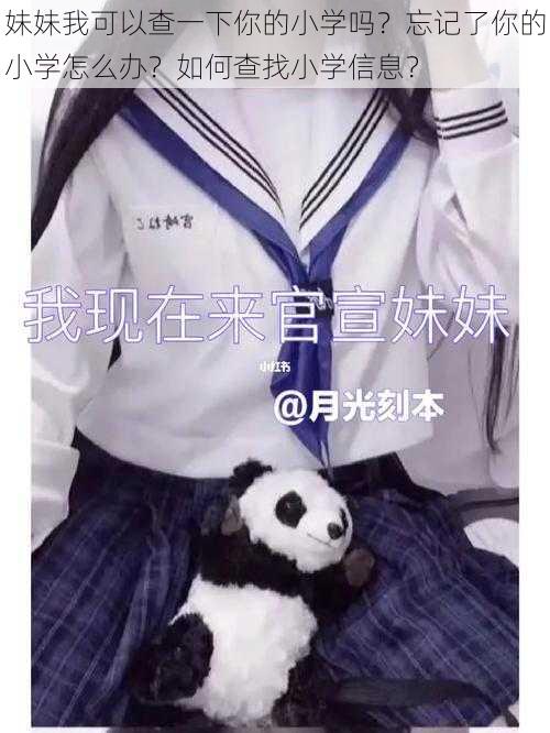 妹妹我可以查一下你的小学吗？忘记了你的小学怎么办？如何查找小学信息？