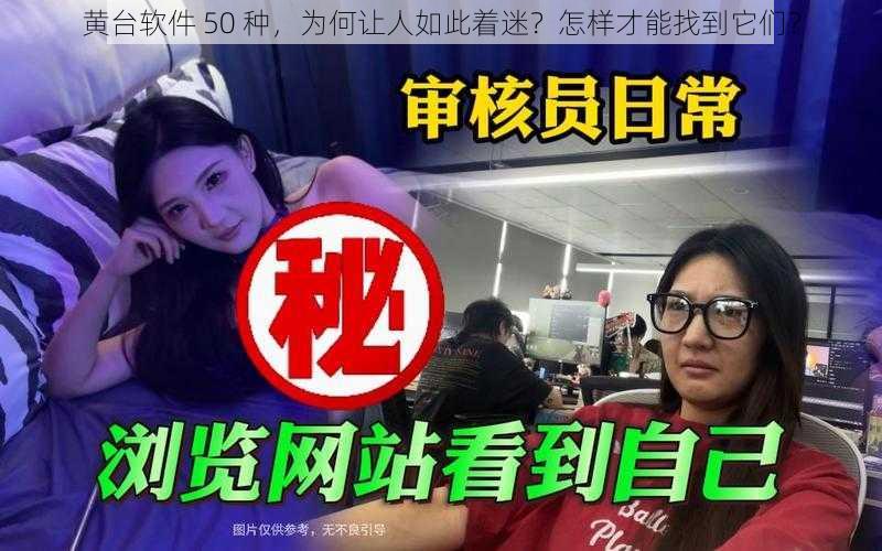 黄台软件 50 种，为何让人如此着迷？怎样才能找到它们？