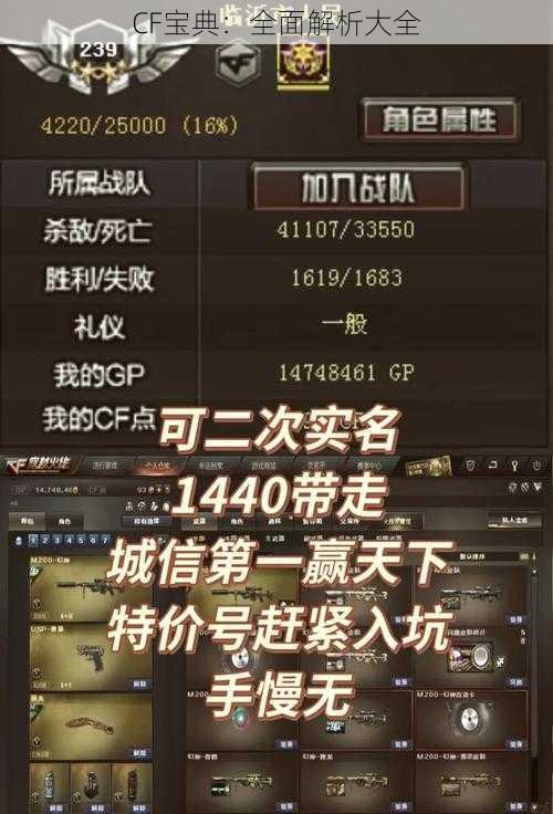 CF宝典：全面解析大全