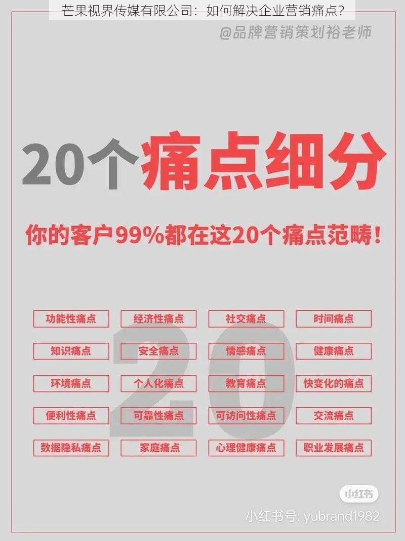 芒果视界传媒有限公司：如何解决企业营销痛点？