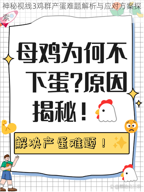 神秘视线3鸡群产蛋难题解析与应对方案探索