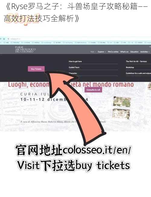 《Ryse罗马之子：斗兽场皇子攻略秘籍——高效打法技巧全解析》