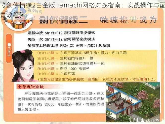 《剑侠情缘2白金版Hamachi网络对战指南：实战操作与配置教程》