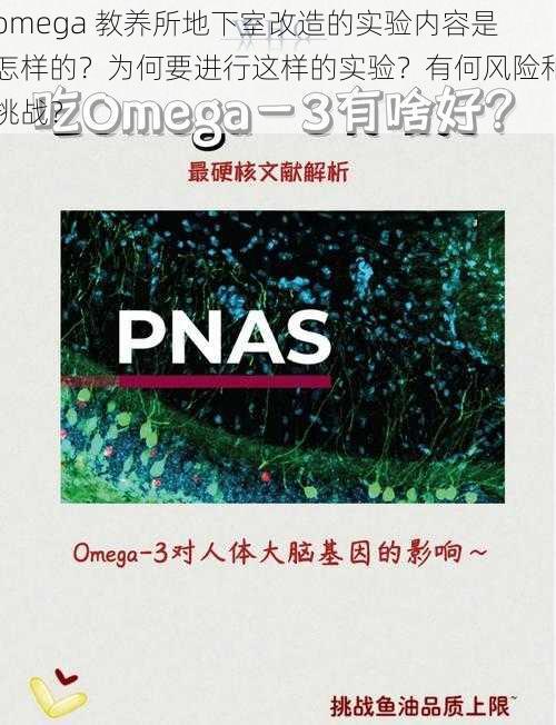 omega 教养所地下室改造的实验内容是怎样的？为何要进行这样的实验？有何风险和挑战？