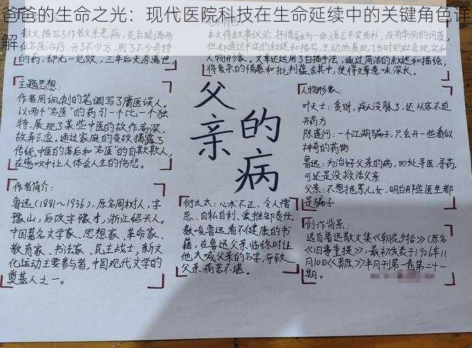 爸爸的生命之光：现代医院科技在生命延续中的关键角色详解